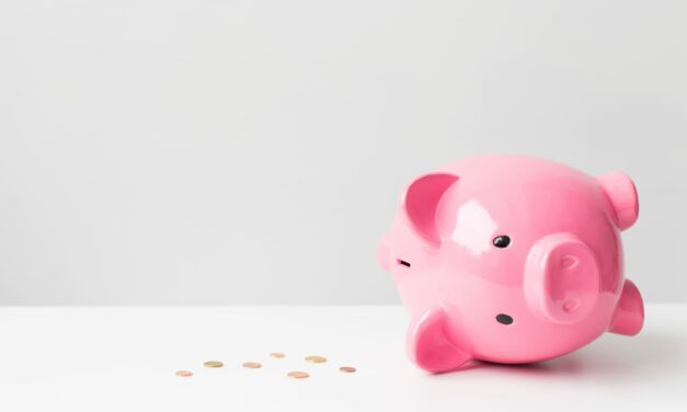 Navigating Funding Challenges for Rare Infectious Diseases