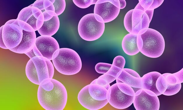 Novel Antifungal Agents: Breaking New Ground in Treatment