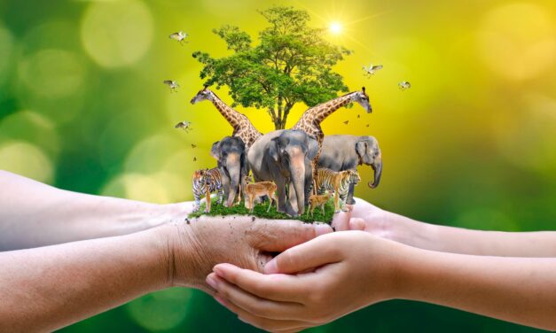 Integration of Human, Animal, and Environmental Health: The Core of One Health