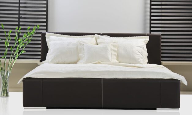 Smart Beds: The New Frontier in Disease Prediction